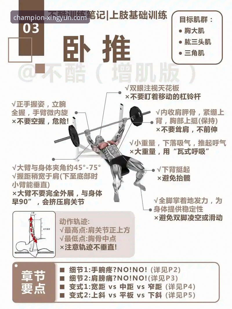 杏运体育平台最新活动使用技巧详解