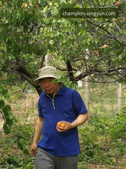 杏运体育平台安全评估与实用指南：冠军之路的基石